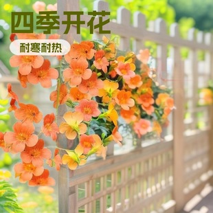 ��������������ֲ���̨�����Ϙ����ܻ����������Gֲ����ȩ����