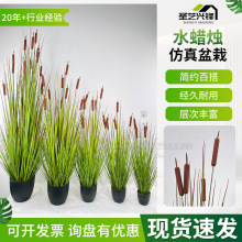 �|�����Ѳݷ��滨  ����ֲ��پGֲ�쾰Ժ�ӻ��@�b���ˮϞ�T