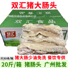 �p�R�i�c�^ ���c�^ 20��/�� �i���c���������i���cĩ�t���c�^�i�c