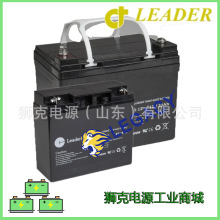 瑞典LEADER蓄电池CTG65-12 12V65AH 机器人 仪器、船舶UPS电瓶