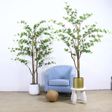 ���W�W�t���活���҃ȿ͏d�ձ����Rֲ�����������bپGֲ