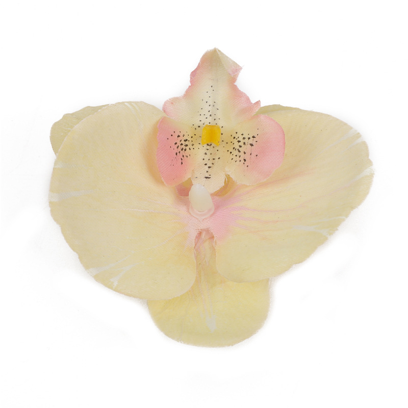 밝은 노란색 9cm