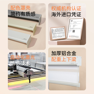 No-Drill Soft Sheer Roller Blinds for Study, Dining Room, Kitchen, Bathroom Sunshade and Blackout Roller Blinds