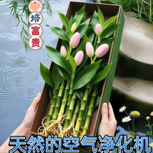 �ļ���ؔ���\��լˮ�฻�Fˮ��͏d�҃��k�����ԾGֲ����ȩ