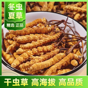 ���x�Ĳ����l���������a��ֱ�������x����؛�^��һ��؛Դ�Ҵ���