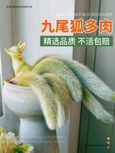 ��β������ֲ���׃��@С���Ծ�Ʒ�[�����Lܛë�Gֲ�̨�����ƿ�