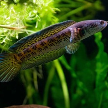 ���R�������~���͟Ꭷ�^�p�~��ˮ�����~����������ʳ���~��