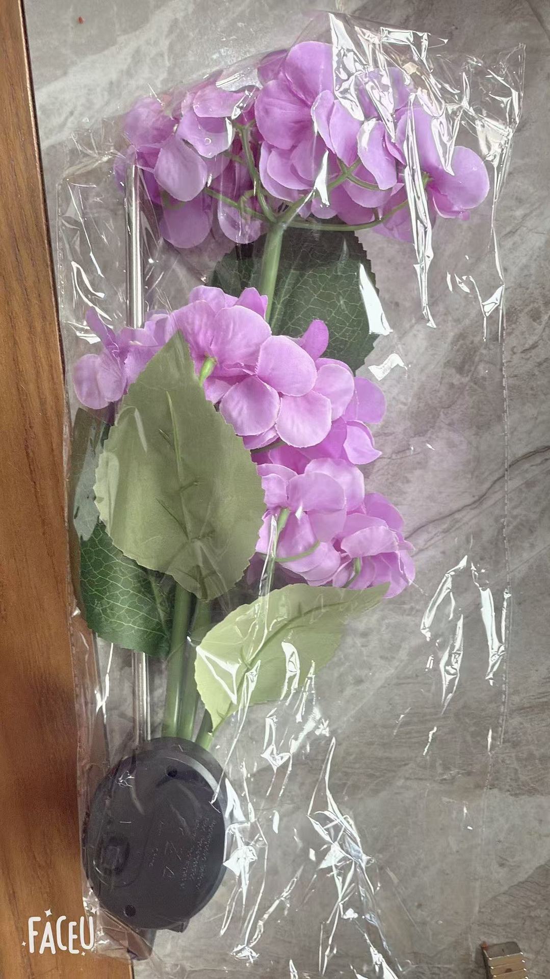 Lámpara solar transfronteriza