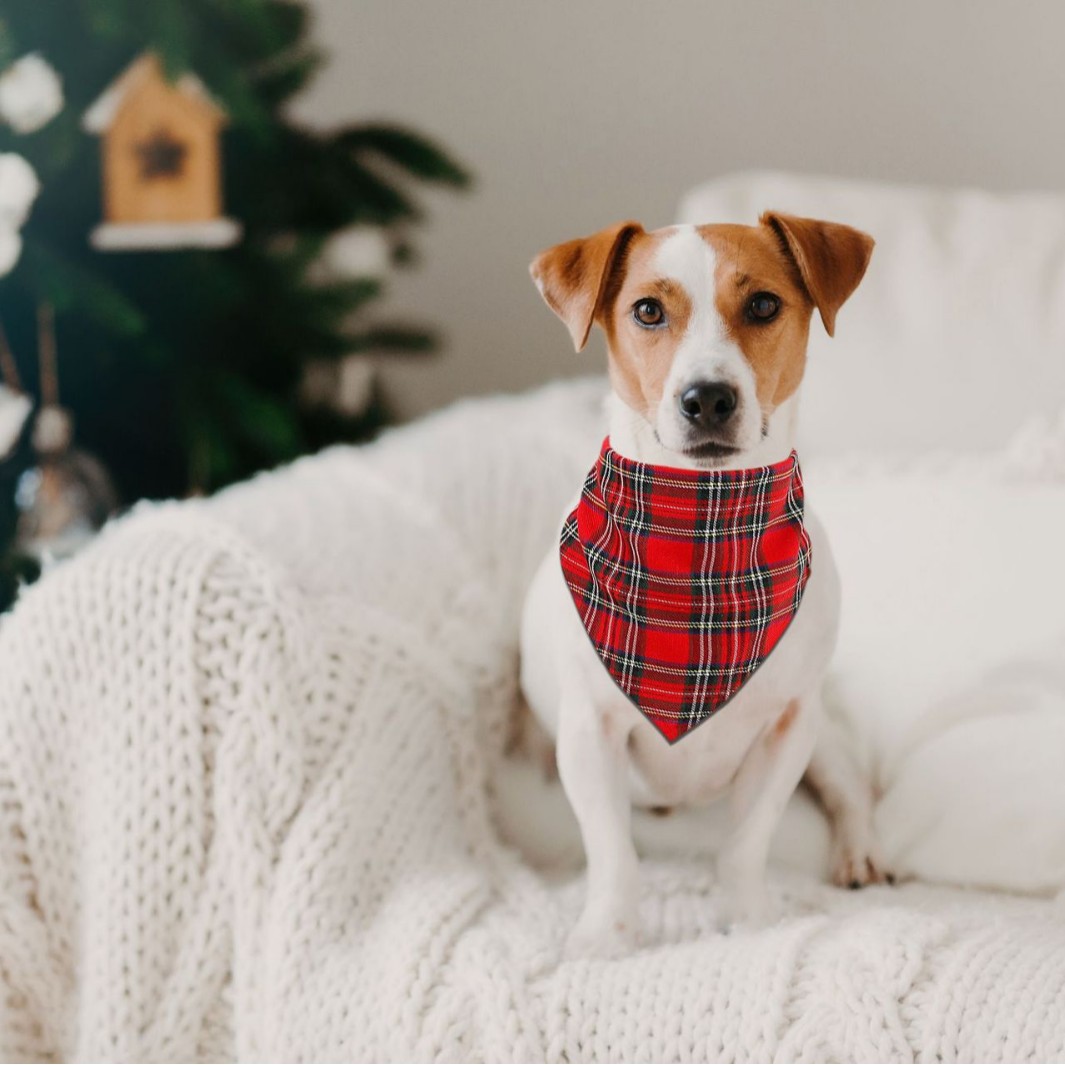 Navidad transfronteriza mascota saliva toallas triangulares para perros y gatos de Navidad especial bufandas triangulares a rayas al por mayor
