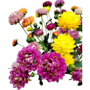 �W�ޟ��N���^ƹ�Ҿշ��滨 ���uͨ�S��ƹ����ռٻ� ����~�۾�