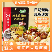 海底捞火锅底料姬松茸菌汤100g关东煮串串香炖菜煲汤涮肉菌菇汤底