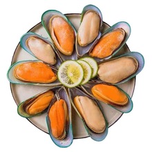 �����m�������뚤���ؐؐ�ĵϠ̥ؐ��������͟����������