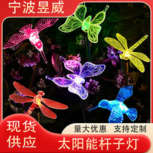 ̫ܵزUѷBƺݵled̫ͥԺ