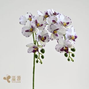��֧�ɲ�12���ָк����m��С�������滨�����b�Ʒ�zӰ�����b�Ʒ