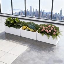 �Ӻ���\�廨��M�ϑ��⻨�؇�����[�L���λ���Ƶ������������