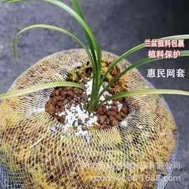 其他塑料网;塑料网套;EPE珍珠棉