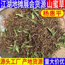 江湖地摊展销会山蜜草茶山蜜草茶梗甜叶菊凉茶散装花茶批发花草茶