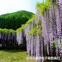 ���l������ͥԺ�G�������໨ֲ�����٘�������������������}