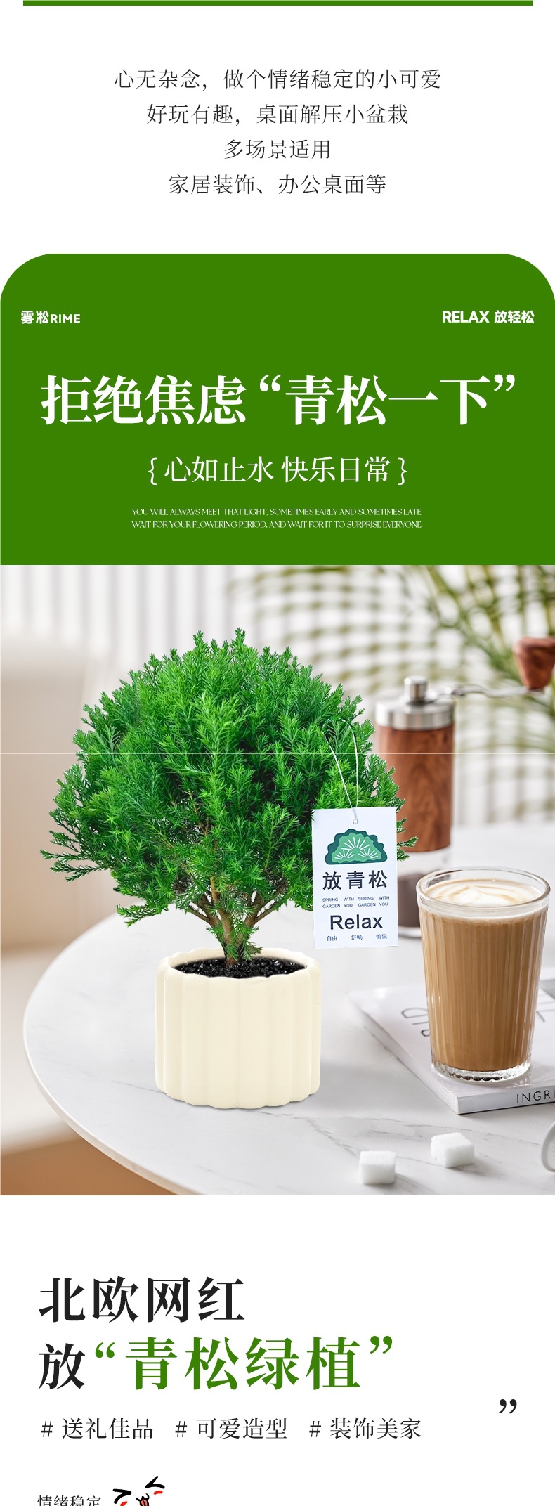 放青松绿植雾凇盆栽客厅办公室桌面小盆景净化空气四季常青易养活-阿里巴巴