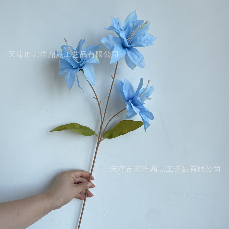 微信图片_202208111655472_副本