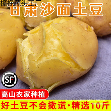 ���C��������9����]2025���r�F���S��ɳ���R��������r���ԷN3