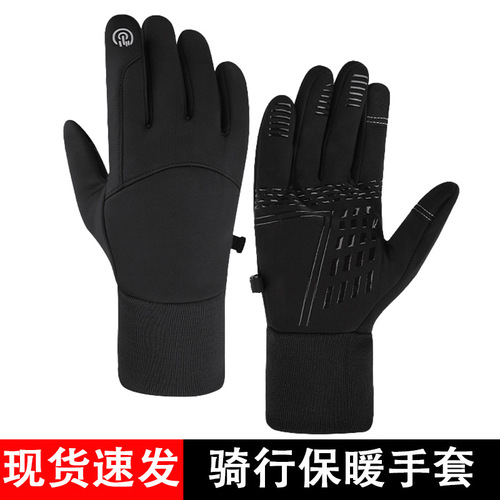 Winter Warm Insulated Touchscreen Ski Snowboard Cycling Commuting Glove for Men and Women