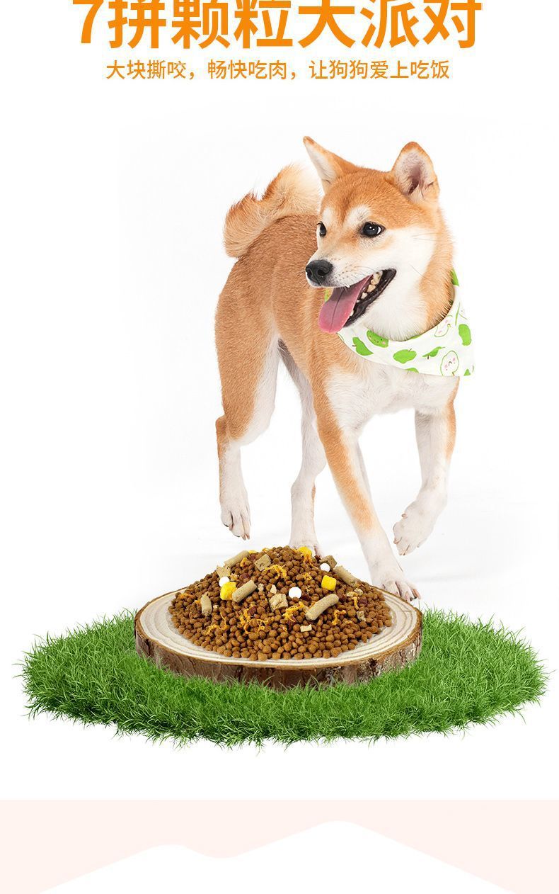 736c1002-069a-4e93-883f-f6e88def8555.jpe