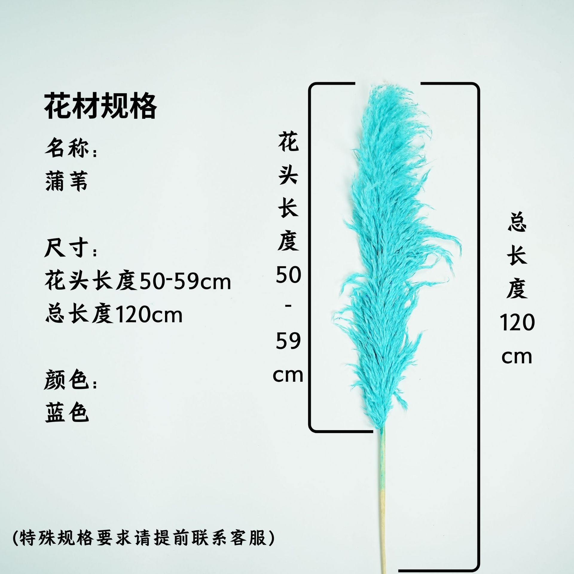 꽃머리 50~59cm 블루