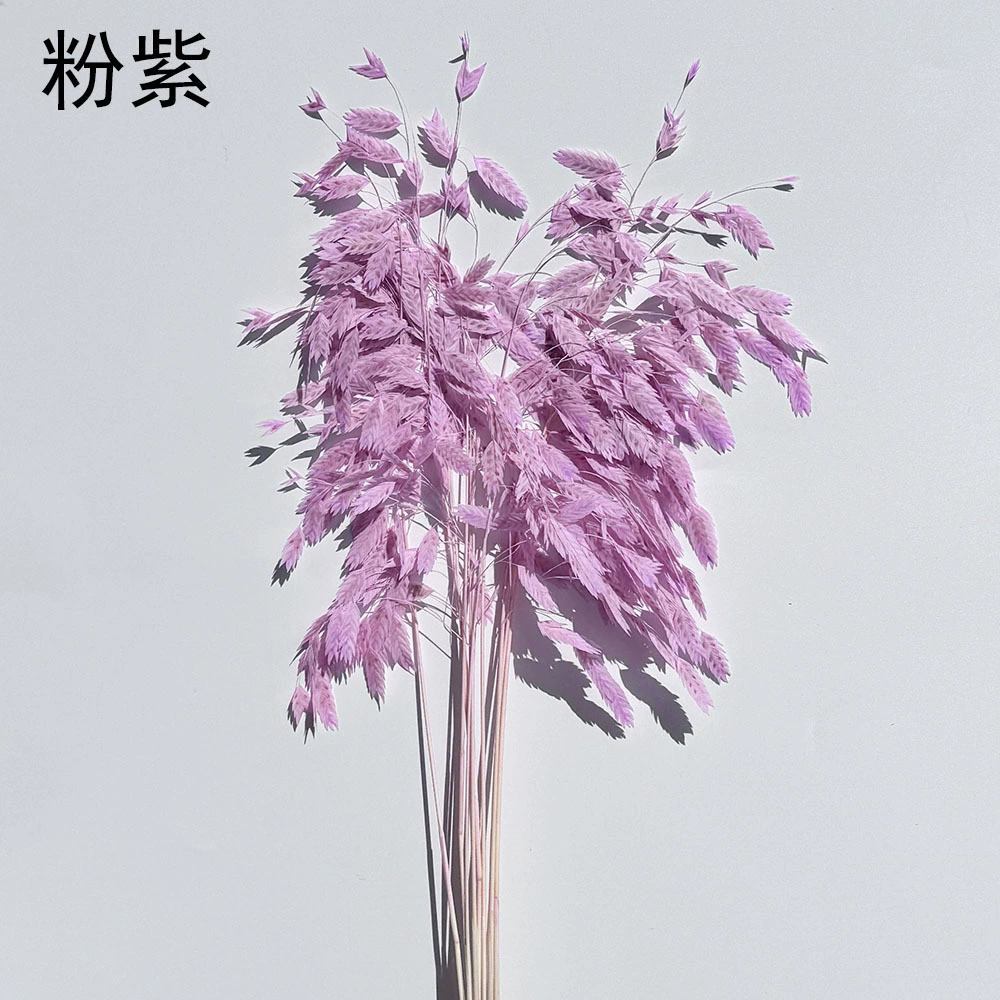 Сохранённые вечные цветочные стебли Xiao Pianwang Cao, цветочная сушёная букетная композиция, 10 шт, 30–60 см