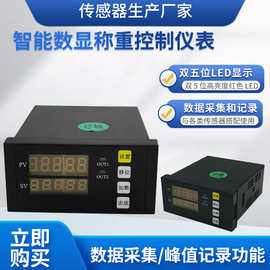 隆旅WCL-101称重控制仪智能型称重传感器拉压力传感器控制显示仪