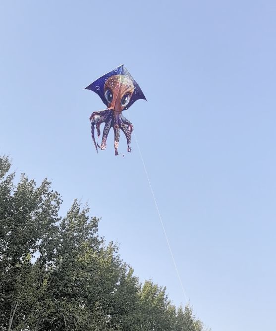 2d186953-d5b9-4136-9e70-e8440bac414c.jpe