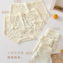 10A抑菌内裤女蕾丝拼接碎花类婴童棉料无痕透气中腰纯棉裆