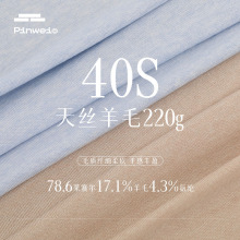 40s天丝羊毛莱赛尔T恤面料 220g春秋弹力打底衫时装T恤针织布料