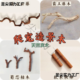 �����쾰ľ���ָ��߽޽��،m�ת{����������̨���y��ľ��֦��