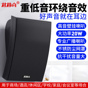 Wall-mounted audio indoor classroom speaker campus public broadcasting system cafe mall music broadcasting speaker