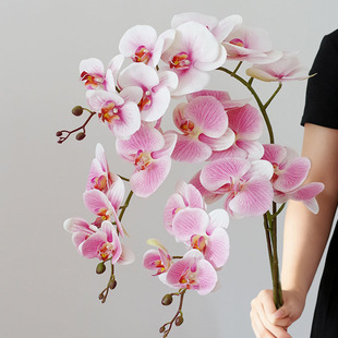 3D��ӡ�ָа�ɫ�����m���滨��Ʒ�|��֧�m���ٻ��������lһ�����l