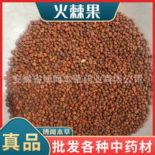 火棘果中药材救军粮 赤阳子 火把果 火棘 吉祥果 红子刺