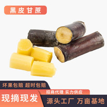 黑皮甘蔗 新鲜水果现砍现发3/5/9斤 整根脆甜果蔗非白玉甘蔗