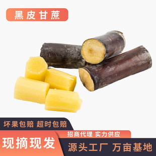 ��Ƥ���� ���rˮ���F���F�l3/5/9�� �����������ǰ������