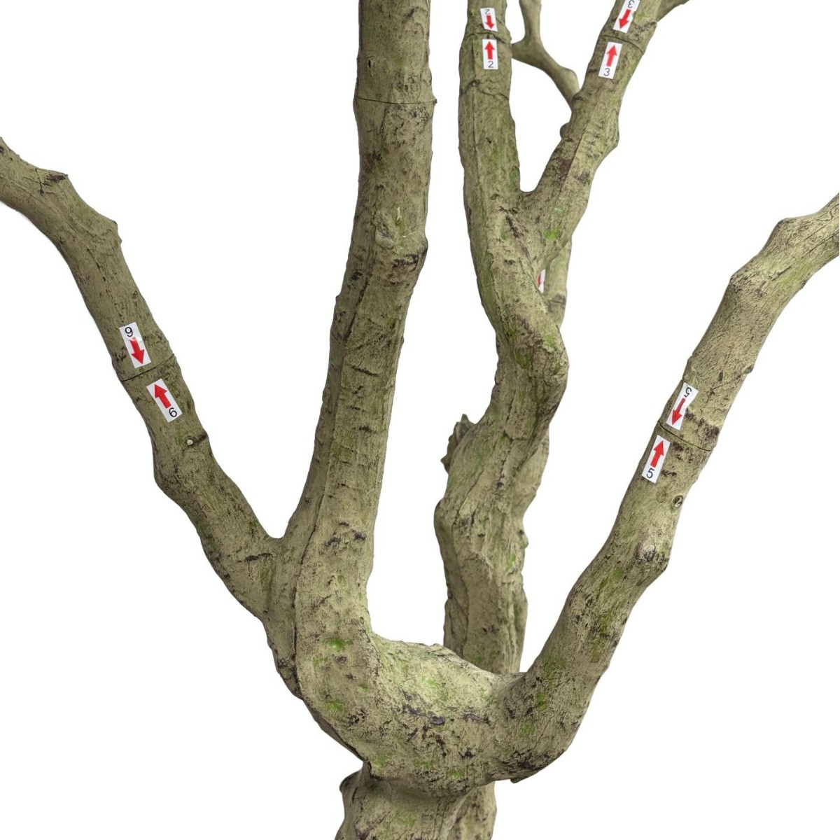 Amazon Desmontaje Simulación Olive Tree Ventana interior Hotel Centro comercial Decoración escénica Simulación artificial Olive Tree