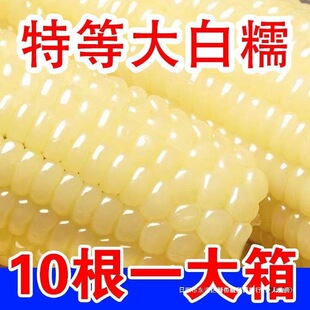 �|������Ŵ�������r�Fժ����b����ʳܛŴ����ճ�����װ����Ͱ���