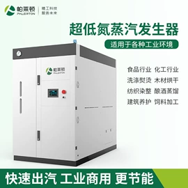 蒸汽发生器;燃气锅炉