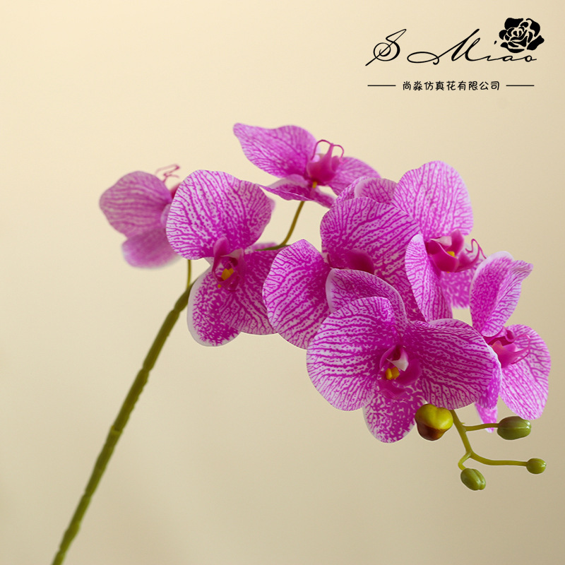 Da7 flores mariposa orquídea bonsai imitación de flores fabricantes directamente para decoración del hogar imitación de flores falsas en maceta ornamentos verdes image 14