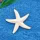 Supply resin starfish Mediterranean style fish tank ornaments