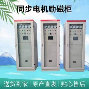 ZLC-400KW synchronous motor excitation cabinet mine ball mill Excitation Control System dual channel