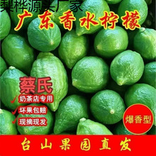 V|ˮroFժִ㙎ʿƷ̲ꌣ