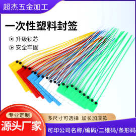 一次性塑料封签鞋包服装防伪防掉包扣物流运煤车塑料封条封签