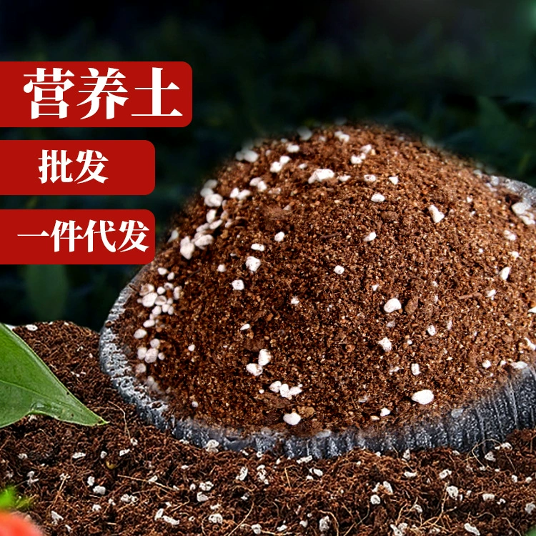 Фабрика Оптовая Универсальные Питательные Почвы Цветочные Овощи Бытовые Посадки Почва Органическая Почва Зеленые Посадки Цветы Мясистые