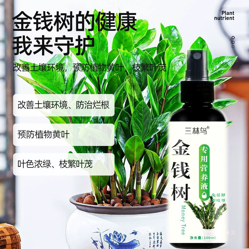Удобрения денежного дерева Специальное удобрение Активы Цветочное удобрение Денежное дерево Питательное жидкость Специальное удобрение для предотвращения желтых листьев и гнилых корней
