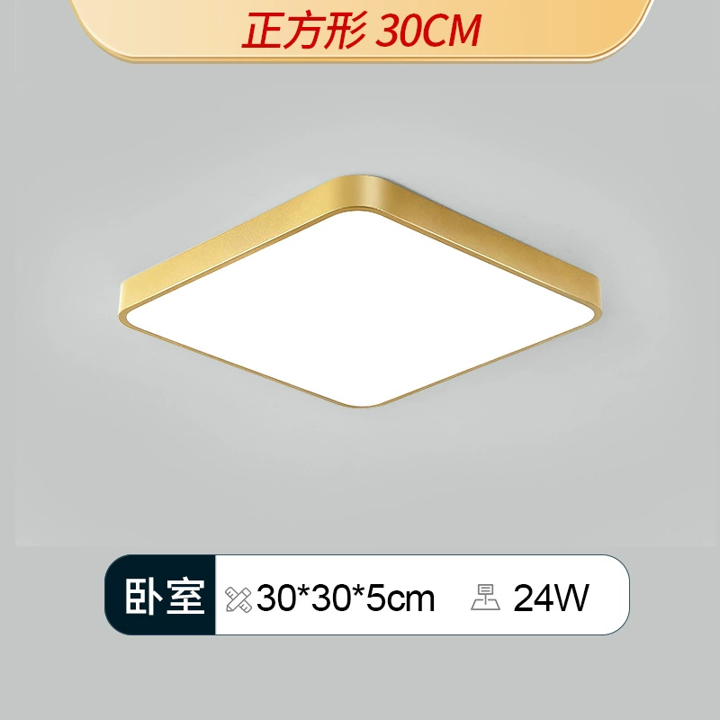 Golden LED ceiling light, lights for corridor, room light, light luxury style